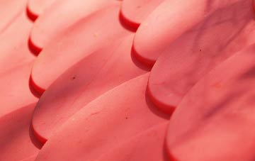 Salway Ash plastic roof costs